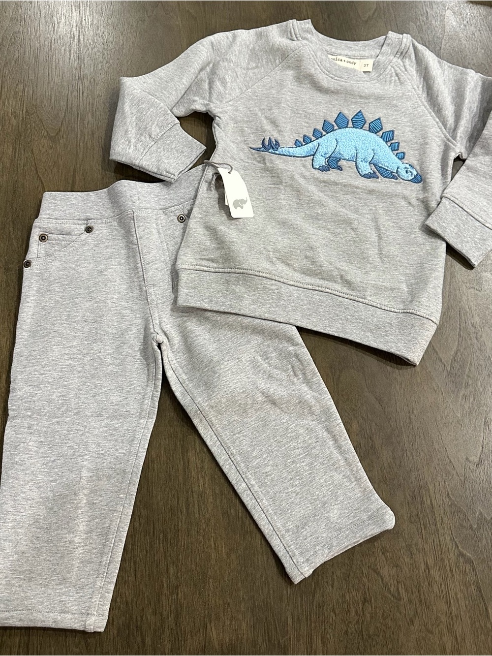 NWT Monica + Andy Toddler Gray Dino Sweatshirt & Jogger Set Size 2T